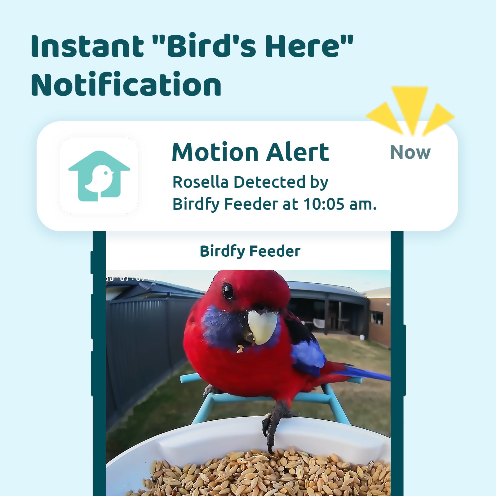 Birdfy Feeder - AI Smart Bird Feeder with Camera (Solar Powered)