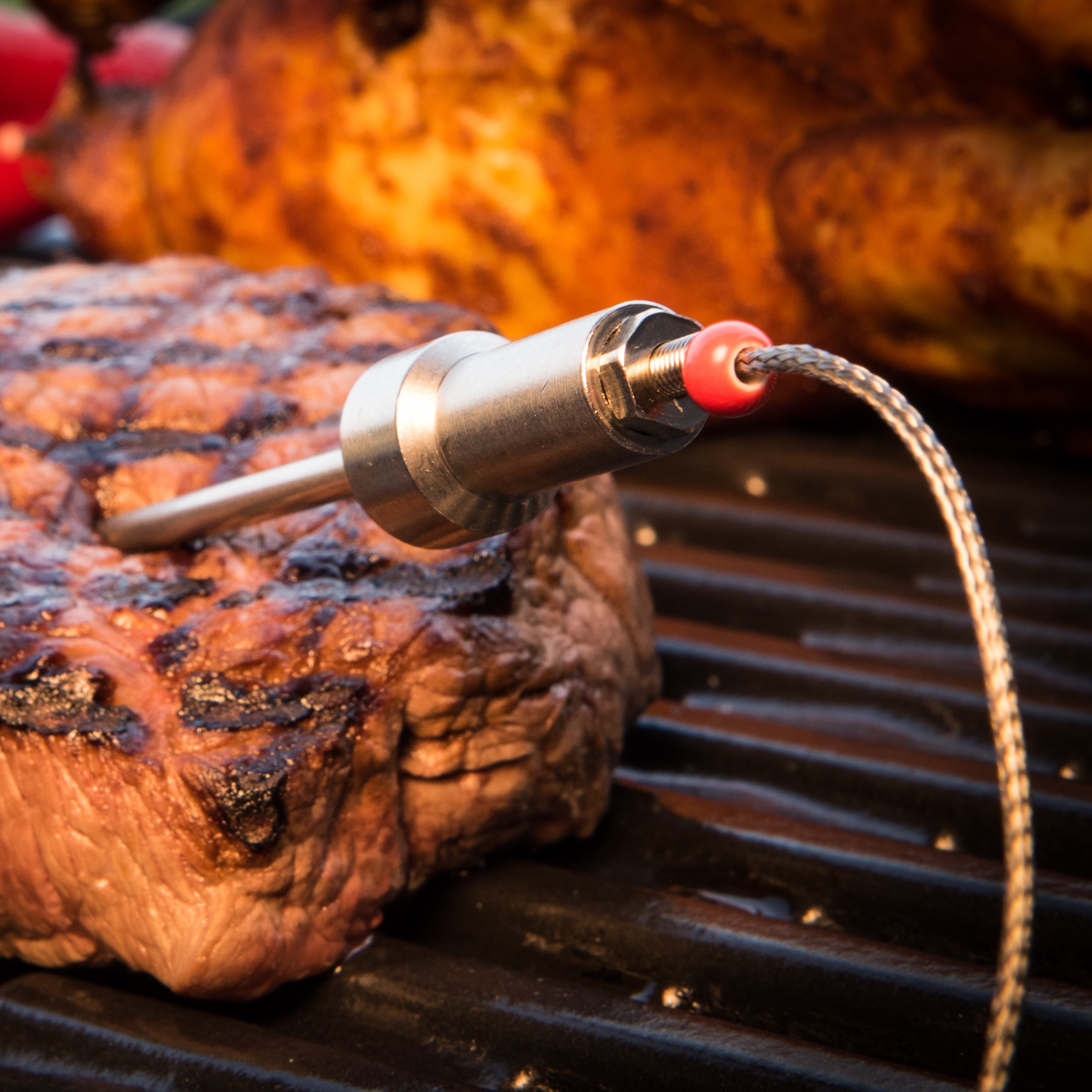 herQs Probes - Stainless Steel BBQ Meat Thermometer